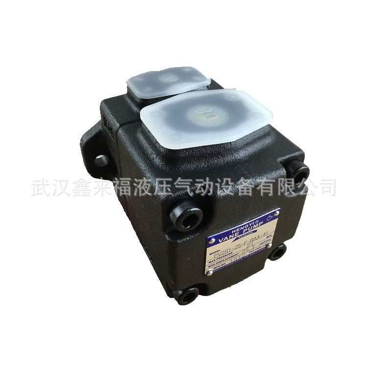 柱塞泵同時出現振動和噪聲問題該怎么辦？